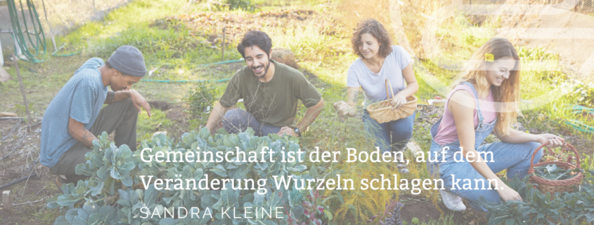vier Menschen gärtnern in einer Art Gemeinschaftsgarten